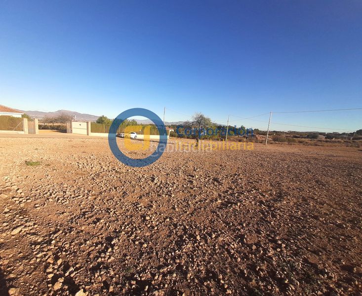 Foto 44c00b87-dd8c-4e80-ab0b-0eddcd76d1db. Terreny residencial a Purias Lorca