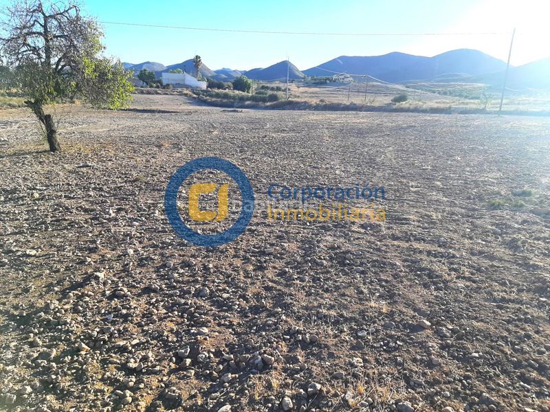 Foto fc7a58d0-9320-4e28-bcba-377c62d9bec4. Terreny residencial a Purias Lorca