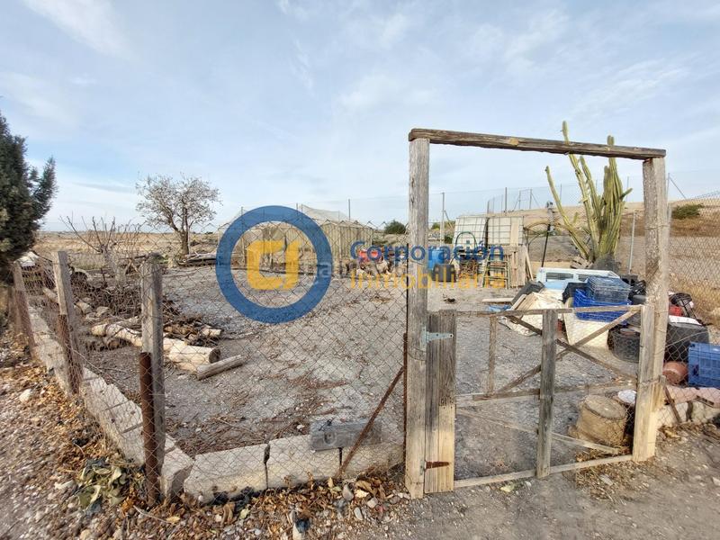 Foto 408978d5-7522-42c7-a6a9-4c2214b965d9. Masia a Almendricos Lorca