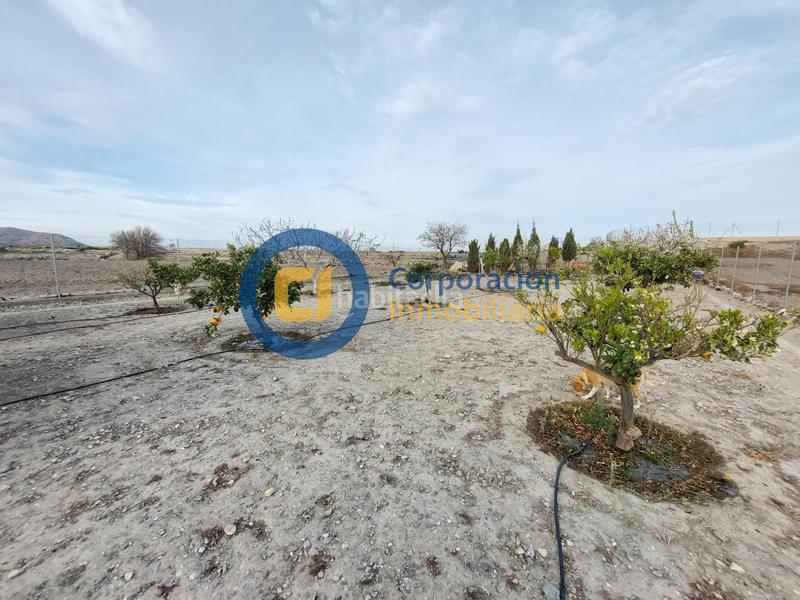 Foto d62384b0-facf-400c-ba0a-2cbaa1a16c84. Masia a Almendricos Lorca