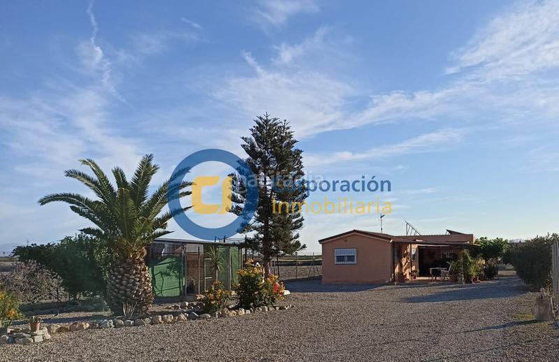 Foto efc0d214-3191-493e-9d20-6765192731e9. Masia a Almendricos Lorca