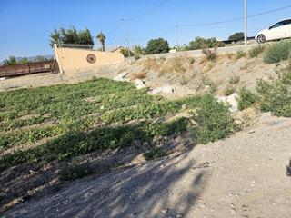 Residential Plot in Torrecilla. Parcela para edificar vivienda unifamiliar en la torrecilla