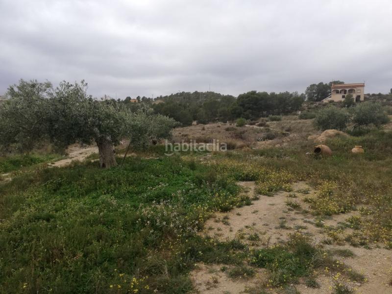 Foto 21bbcbb7-1efa-46c5-b6df-66bf8402b9f2. Maison dans La Tova Lorca