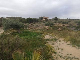 Maison à La Tova. Casa de campo con terreno en la tova