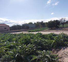 Mas à Cazalla. Casa cortijo en ruinas con parcela en cazalla