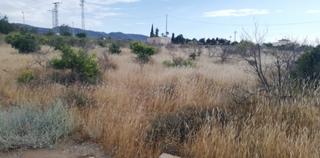 Residential Plot in Aguaderas. Parcela para construcción de vivienda unifamiliar en aguaderas