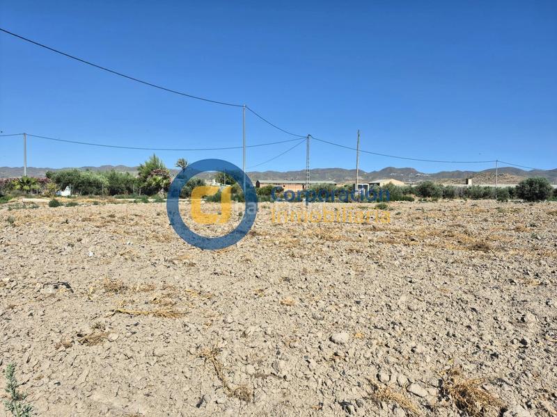 Foto 2d6b2447-0b3f-41e1-a364-cc3cd6ae95f5. Masia amb aparcament a Almendricos Lorca