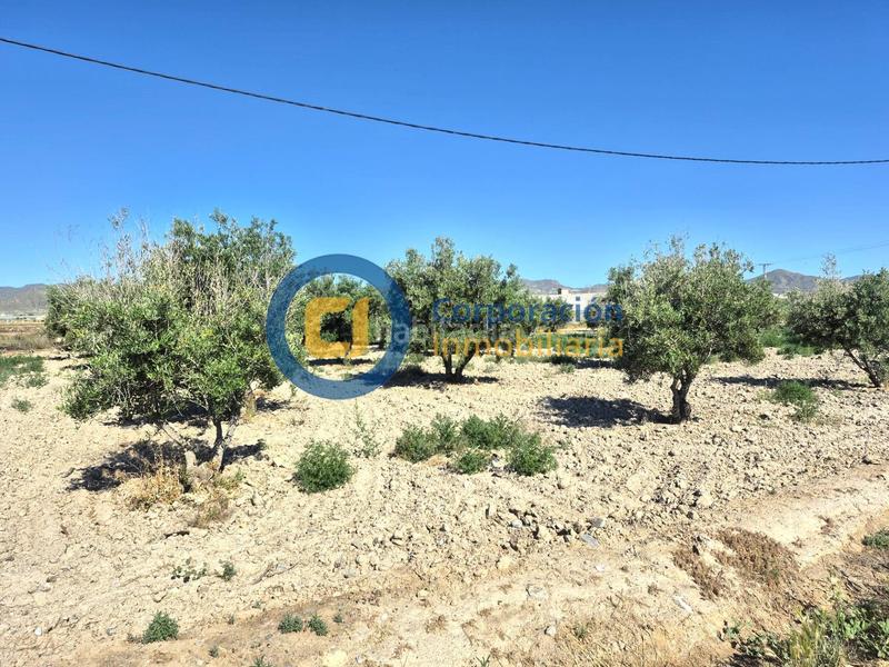 Foto f0286639-0a7c-4191-b990-39a94b91a33b. Masia amb aparcament a Almendricos Lorca