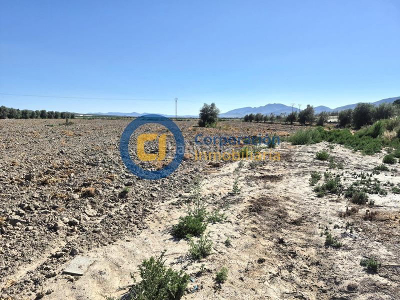 Foto f1be2703-13ef-432b-b9cd-cc2d97229636. Masia amb aparcament a Almendricos Lorca