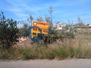 Wohngrundstück in Pozo Higuera. Estupenda parcela para vivienda