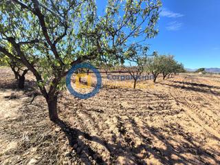 Terreno residencial en Campillo. Parcela para construcción de vivienda unifamiliar en purias