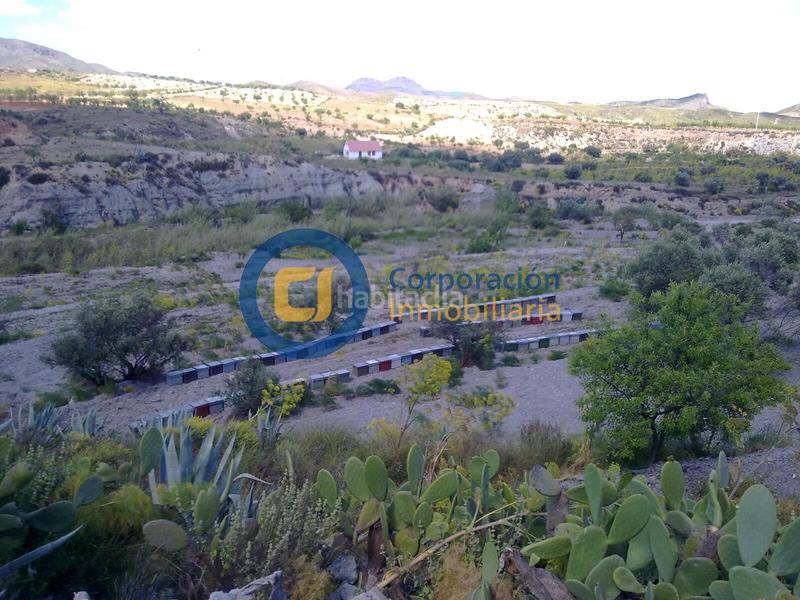 Foto 157d2457-1258-431e-81a8-f006ce473ae7. Masia a Bejar Lorca