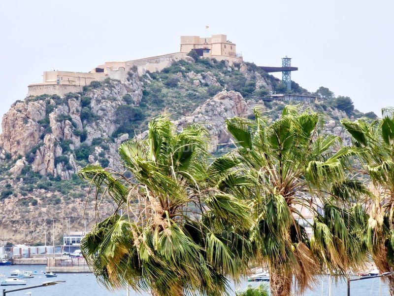 Foto 35d868fe-4a3e-4410-8439-192d9181e5fa. Pis a Delicias Águilas