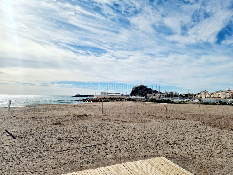 Foto dbdbbcc3-7b1b-4782-aeed-12fbed1caca3. Pis a Delicias Águilas