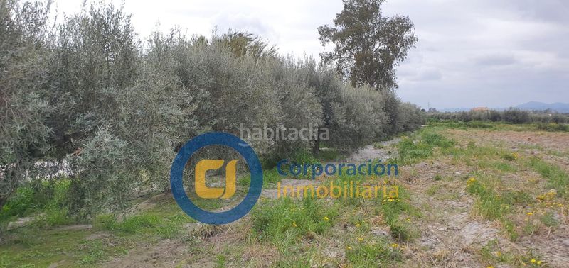 Foto 003f6bdc-f6eb-4194-9255-ca39079c49cb. Casa amb aparcament a Torrecilla Lorca
