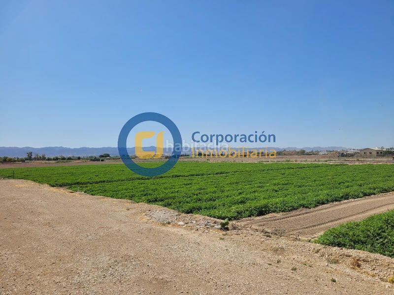 Foto 0fc66da9-f54b-4a97-b4ad-4196481736c8. Xalet amb aparcament a Torrecilla Lorca