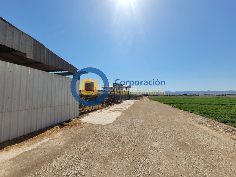 Foto 55c7e184-7e3b-4d5c-85e0-4be1463a0c49. Xalet amb aparcament a Torrecilla Lorca