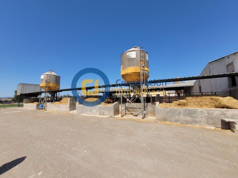 Foto 9e3a3f69-8dbf-4331-8aa0-66cabe609678. Xalet amb aparcament a Torrecilla Lorca