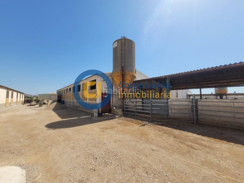 Foto b150c71f-a6a5-4514-9d1e-d8bc3d955185. Xalet amb aparcament a Torrecilla Lorca