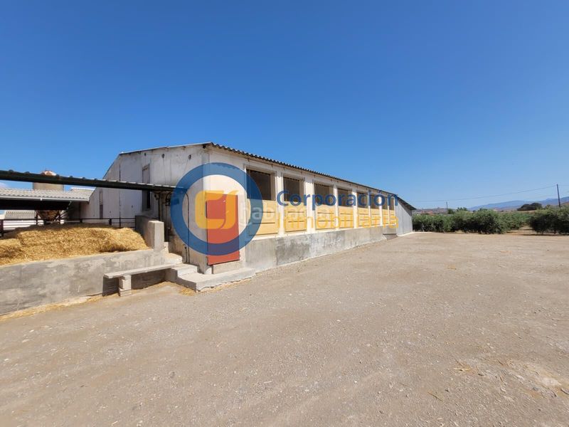 Foto e7a27441-7289-4183-8f7f-1c4f15f5687e. Xalet amb aparcament a Torrecilla Lorca