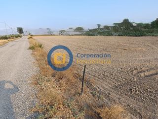 Terreny residencial a Campillo