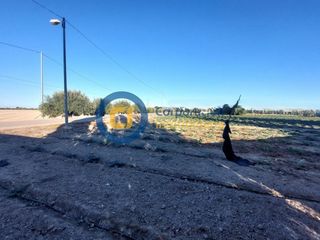 Terreno residencial en Marchena