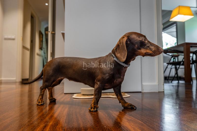 Foto 5021fa10-4608-4250-a581-7aa3bab2b512. Piano terra in carretera de vallvidrera 149 in Arxiu Sant Cugat del Vallès