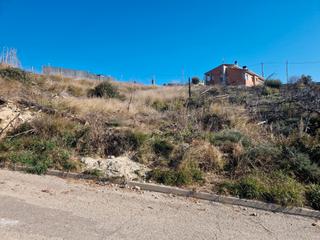 Landgut  Carrer senglar