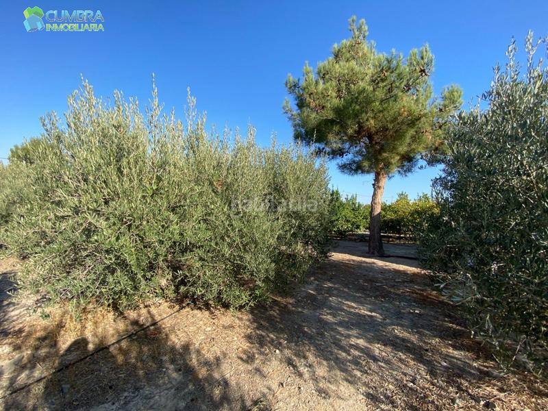 Foto 49dc57eb-4c90-48af-9536-582e82ab1a0b. Mas avec parking dans Sierra de Carrascoy Alhama de Murcia