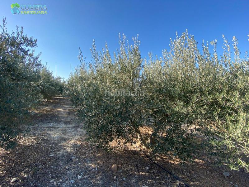 Foto 57985e65-4193-4307-a21e-a74f86c48cf4. Mas avec parking dans Sierra de Carrascoy Alhama de Murcia