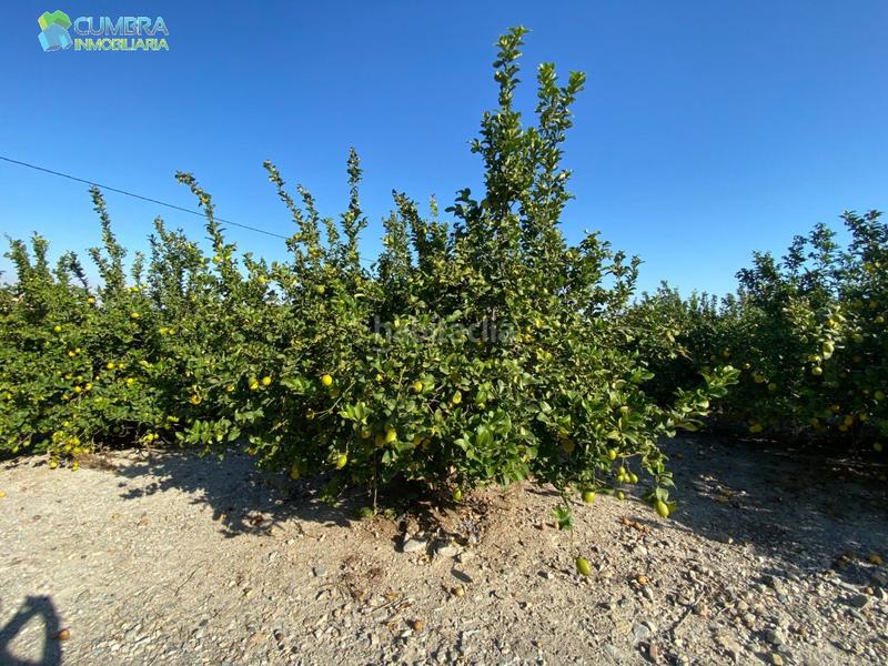 Foto f3058e80-7793-417b-a9ca-88082c9eedf4. Mas avec parking dans Sierra de Carrascoy Alhama de Murcia