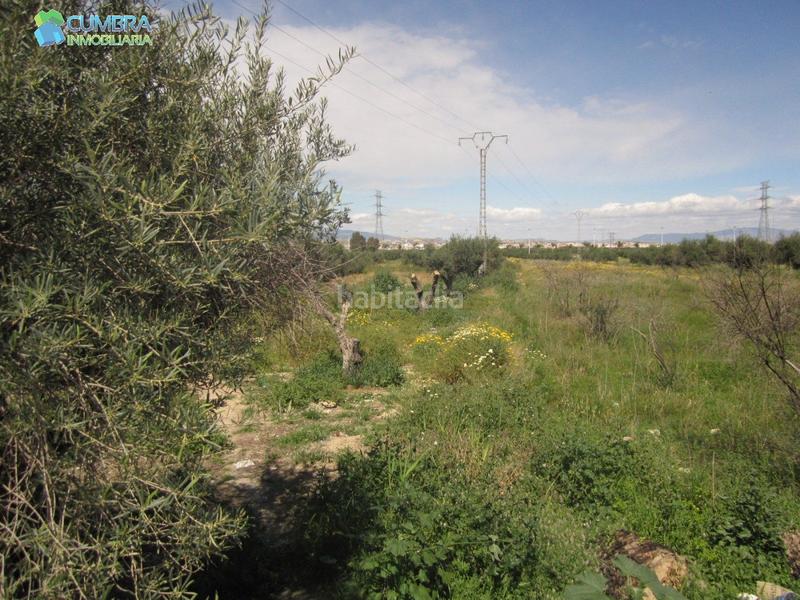 Foto 7e59373d-1a04-4c63-bfff-3c1eecd5570f. Propriété dans Sangonera la Verde Murcia