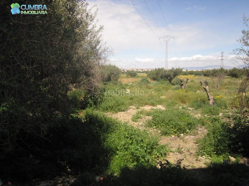 Foto b00a8fe3-3ad8-49f1-a46e-442f70821508. Propriété dans Sangonera la Verde Murcia