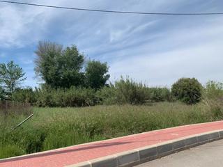 Residential Plot in Rincón de Beniscornia. Parcela urbana en rincón de beniscornia