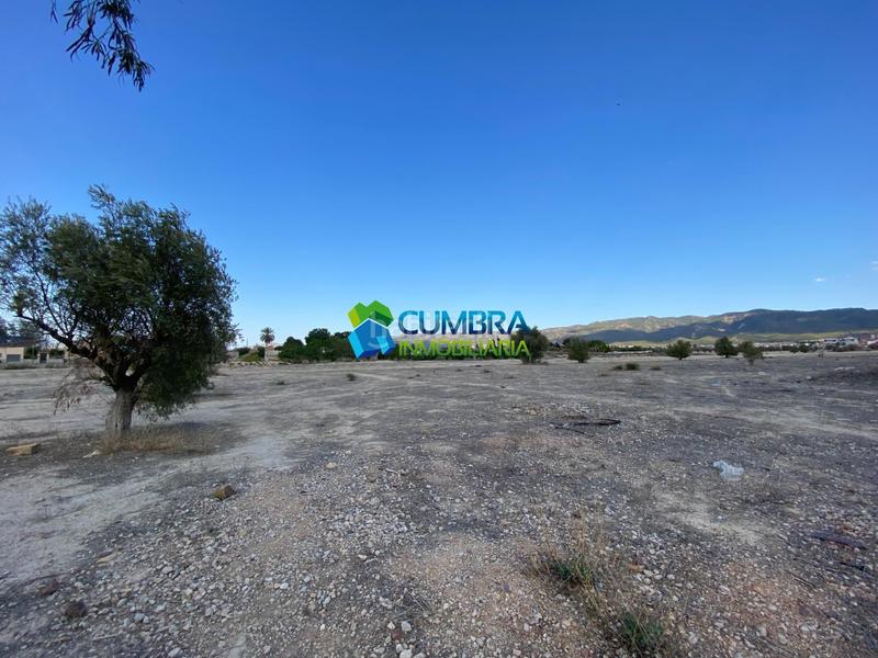 Foto a3eca666-2d07-4754-86a4-0dde946ac205. Landgut in San Ginés Murcia