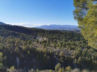 Xalet a Sangonera la Verde
