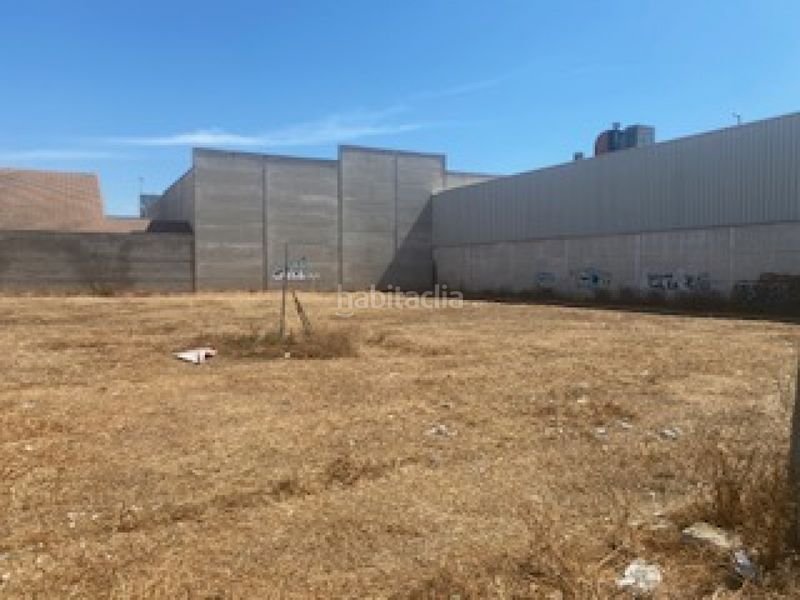 Foto baea2d5f-1b8a-4cf0-84cf-98f83049f044. Finca rústica a Museros - cl joanot martorell 13 a Museros