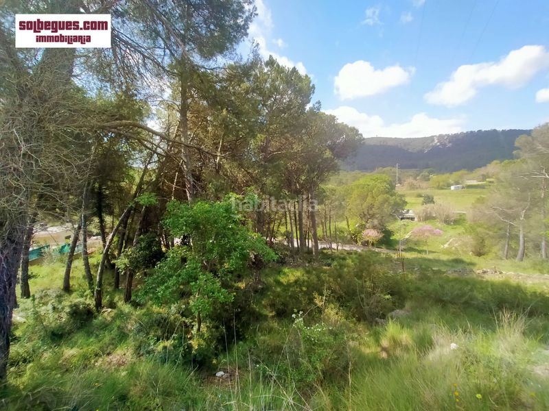 Foto 56bb9c89-4e93-4295-81c1-88a4d70a4423. Terreny residencial a Begues
