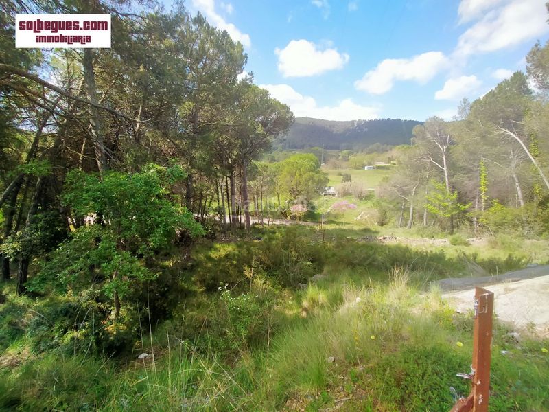 Foto aec30d04-b2c0-4b81-aece-bf6a20f35b1f. Terreny residencial a Begues