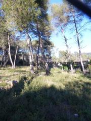 Terreny residencial a Olesa de Bonesvalls. Olesa bonesvalls. can xaco.terreno esquinero