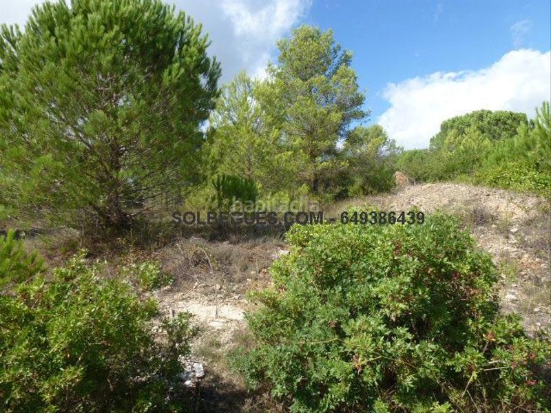 Foto 6d6af5c8-b029-4afe-81f2-2cdb53c7b872. Terreno residencial bon solei terreno esquinero en Begues