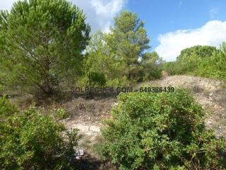 Terreny residencial a Begues. Bon solei terreno esquinero
