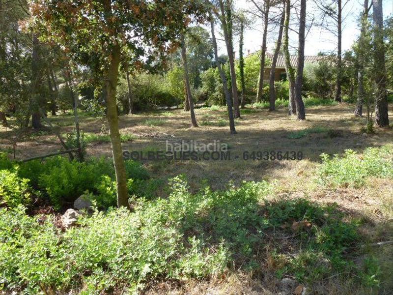 Foto 66b20f7a-f4ba-4a86-bdb9-ad9fdc56a8ef. Terreno residencial bon solei i tranquilidad en Begues