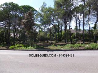 Terreny residencial a Begues. Begues bon solei i tranquilidad