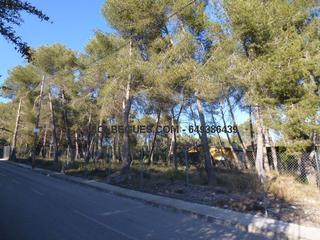 Residential Plot in Olesa de Bonesvalls. Olesa bonesvalls. can xaco.