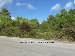 Terrain résidentiel à Begues. Bon solei terreno orientado sur con vistas