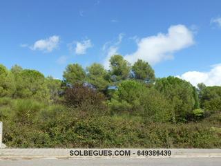 Terreny residencial a Begues. Bon solei terreno orientado sur con vistas