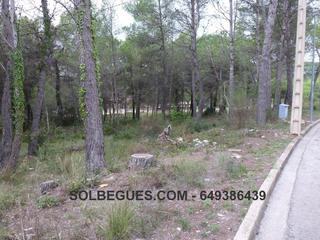 Terreny residencial a Begues. Begues bon solei magnifico terreno en la mejor zona