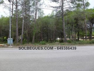 Terreno residencial en Begues. Begues bon solei magnifico terreno en la mejor zona
