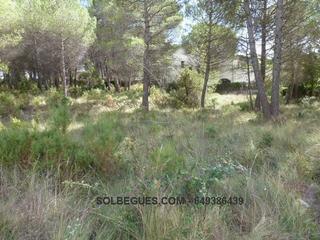 Terreno residencial en Begues. Begues bon solei